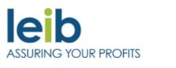 LEIB Solutions, LLC